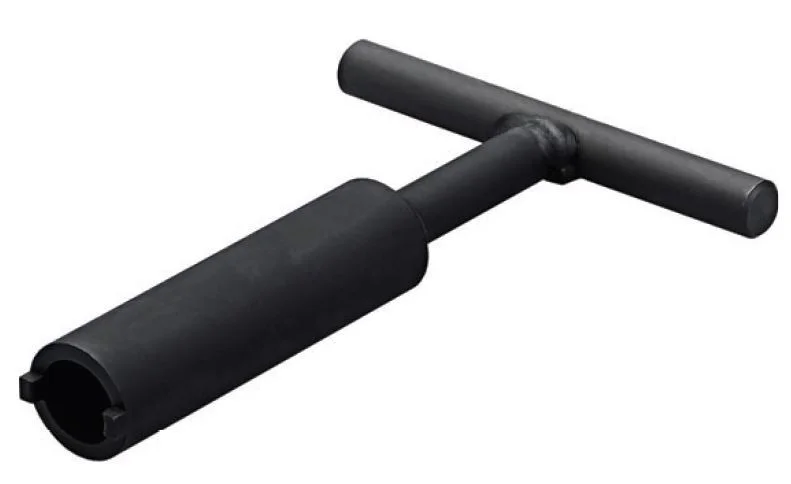 alicon1-2839694