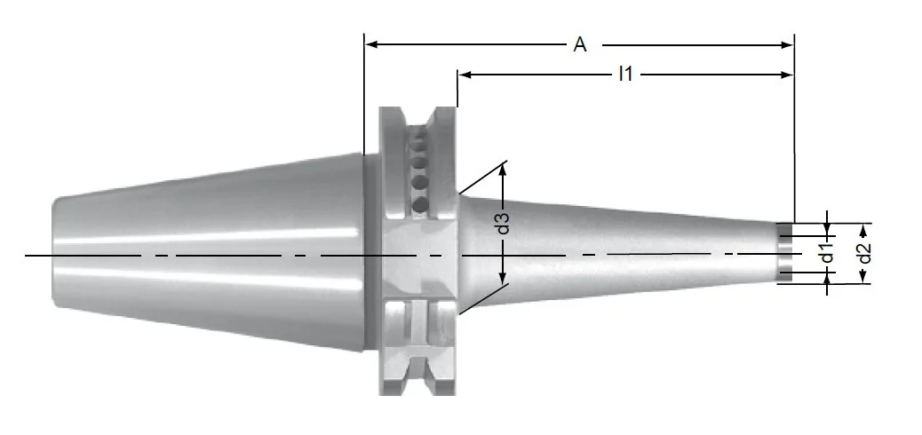 alicon1-2849205