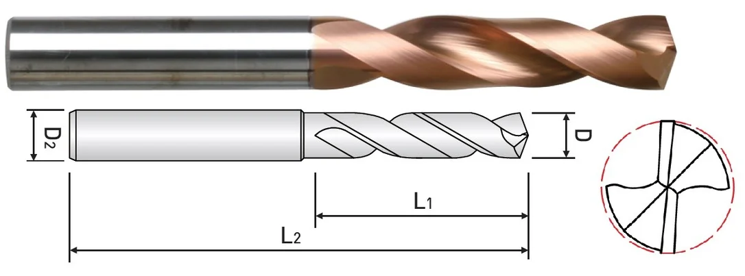 alicon1-2998729