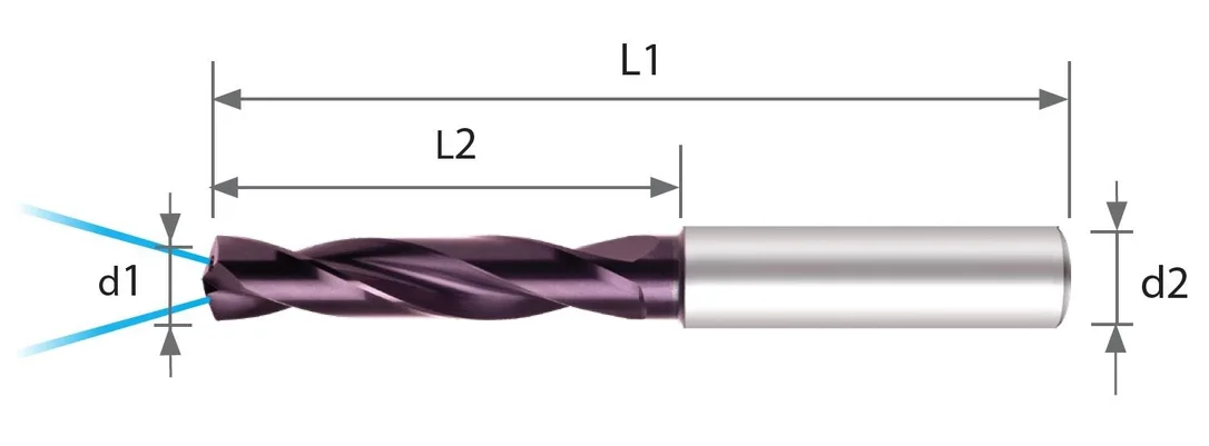 alicon1-3007282