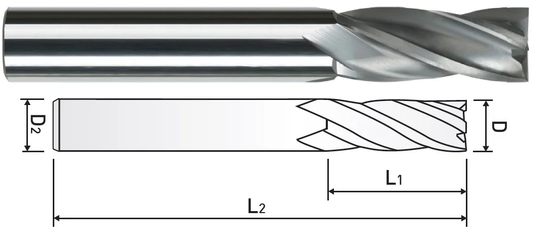 alicon1-3097526