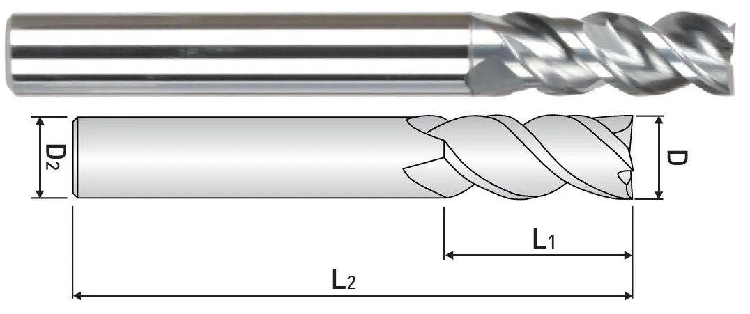 alicon1-3102717