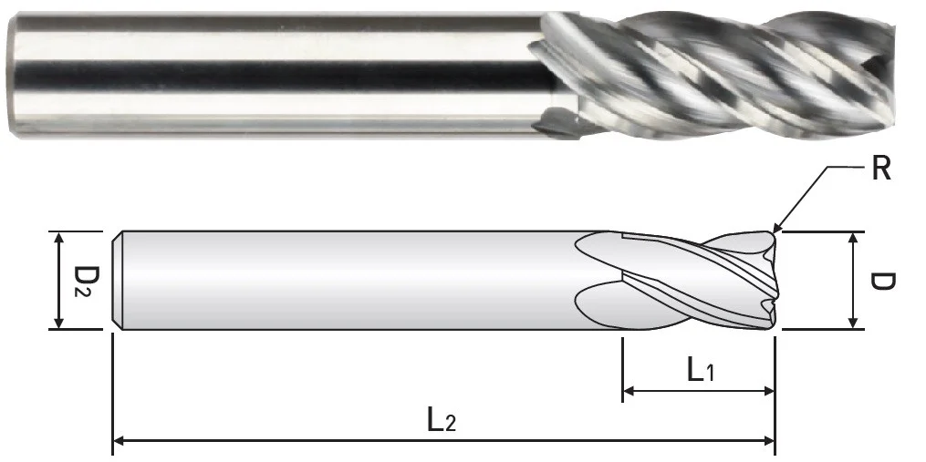 alicon1-3106495