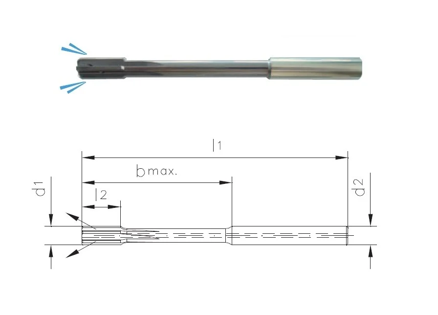 alicon1-3178233