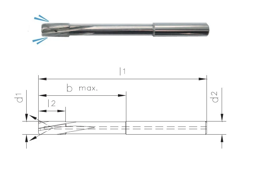 alicon1-3179639