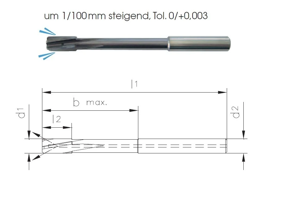 alicon1-3180375