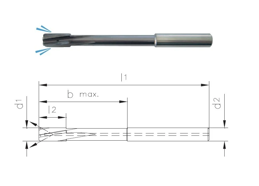 alicon1-3180498