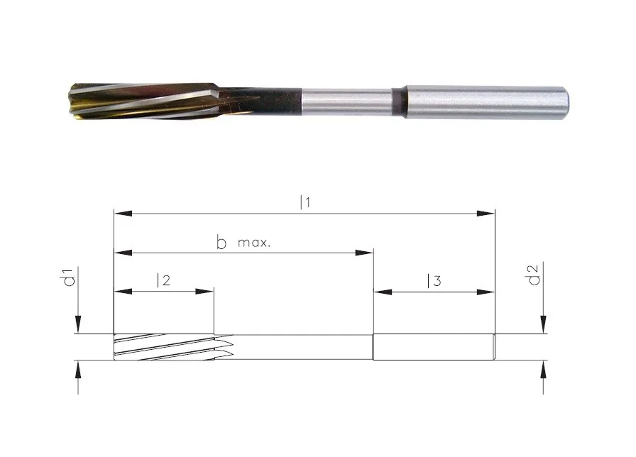 alicon1-3193849