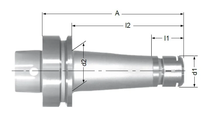 alicon1-3260594