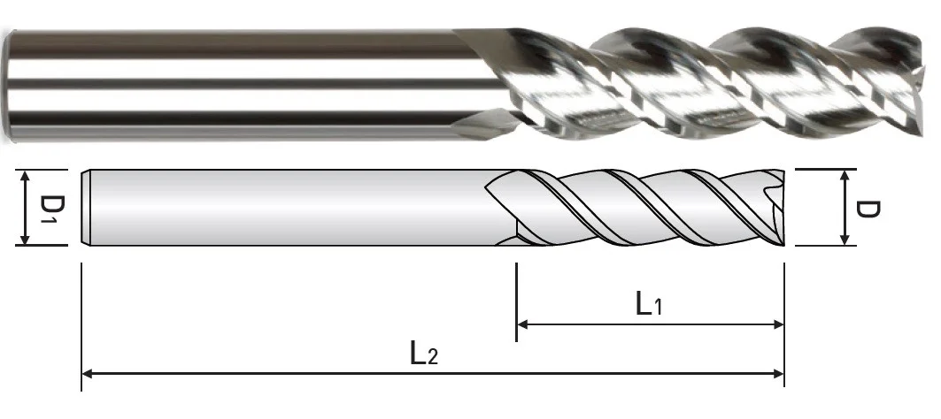alicon1-3267670