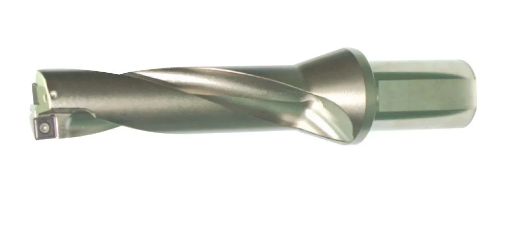 alicon2-2859769
