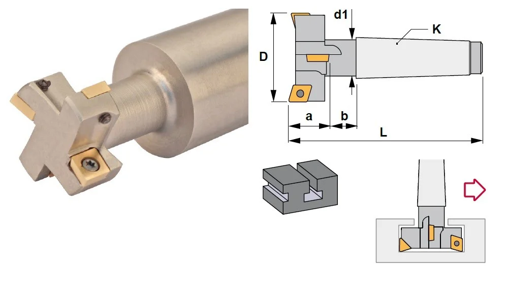 alicon2-2864553