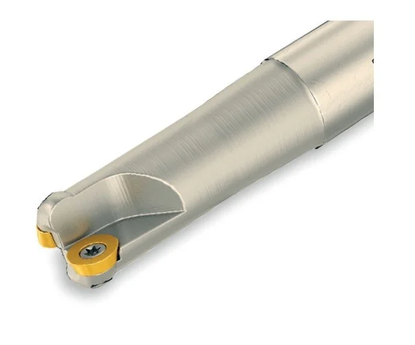 alicon2-2923840