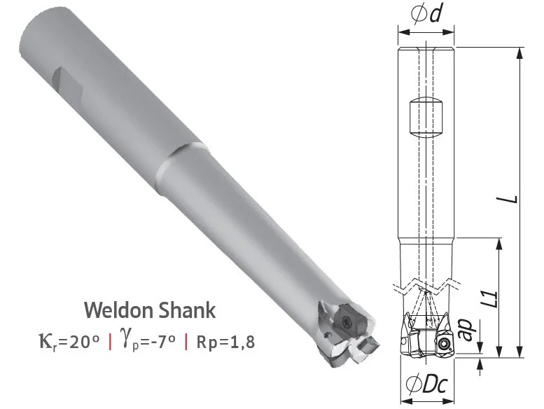 alicon2-2954958