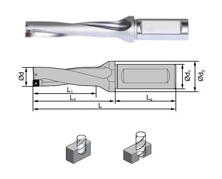 alicon2-3016706