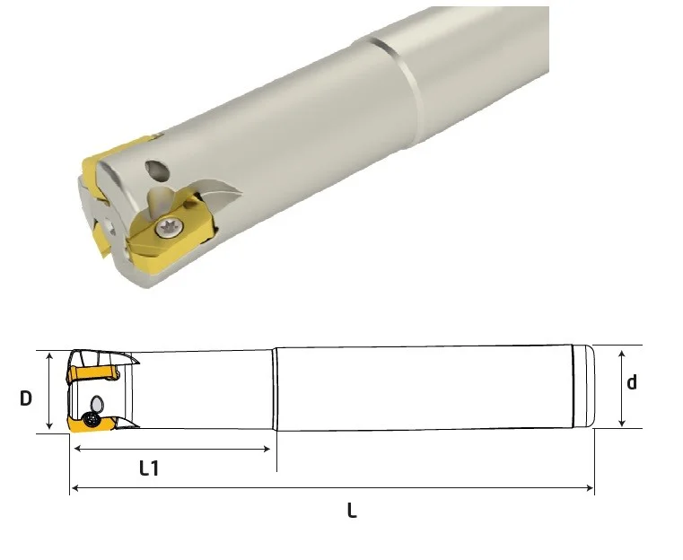 alicon2-3169865