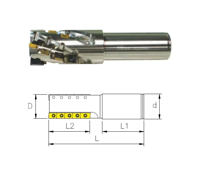 alicon4-2925113