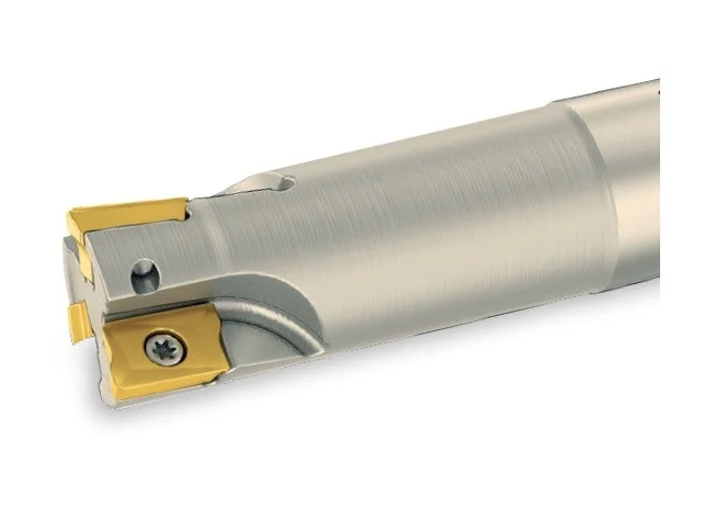 alicon4-3081451