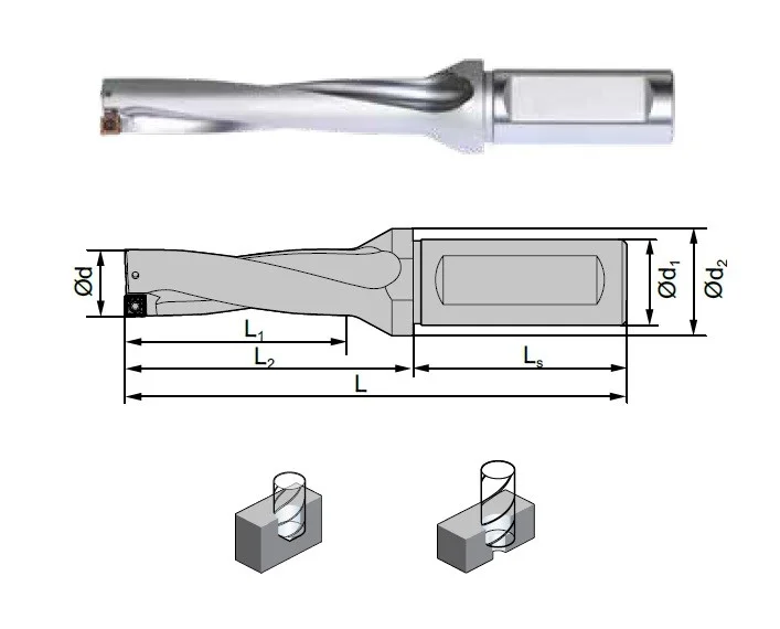 alicon4-3156016