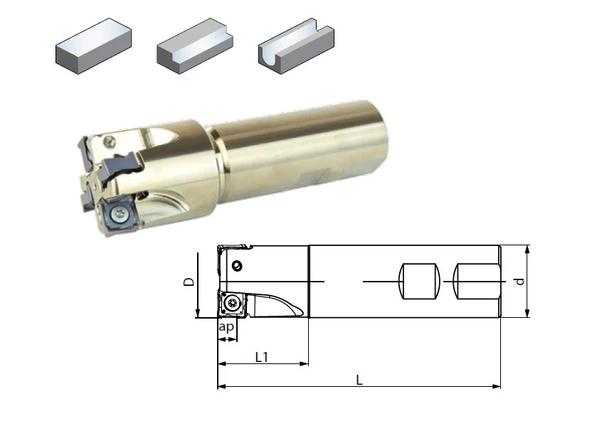 alicon5-3019238