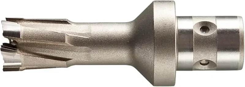 boukal1-3338932