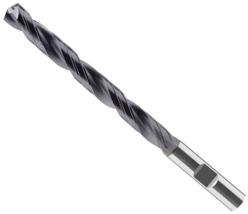 boukal1-3351713