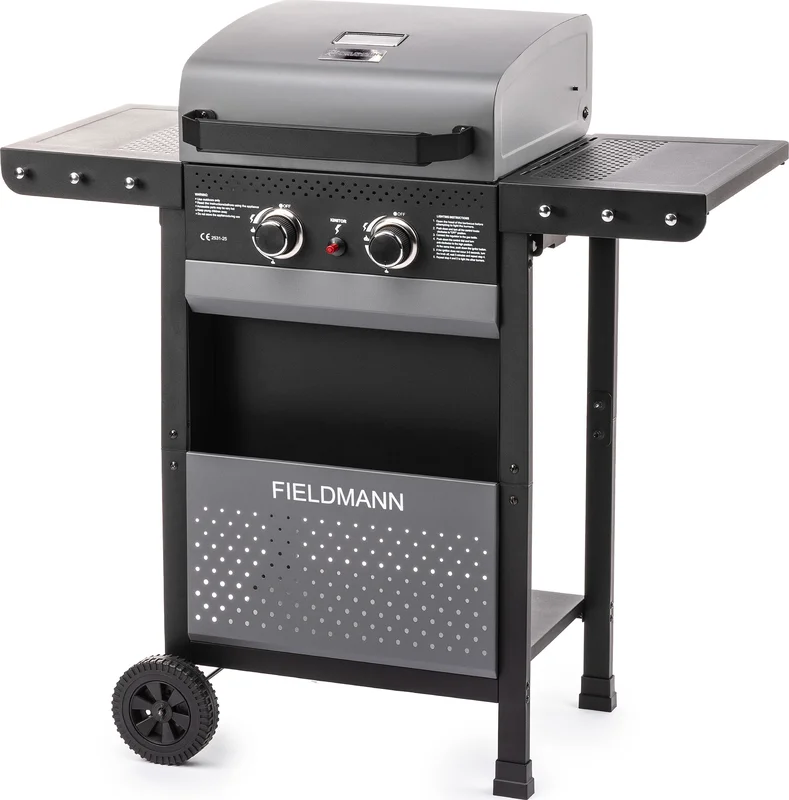 fieldmann-3019352