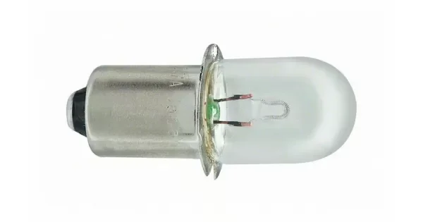 peddy-2931317