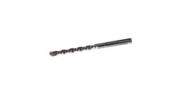 peddy-2935016