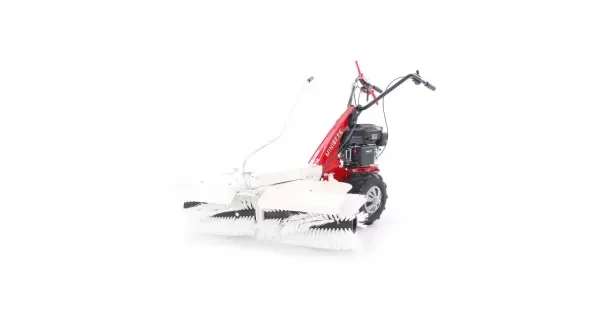 peddy-3000356