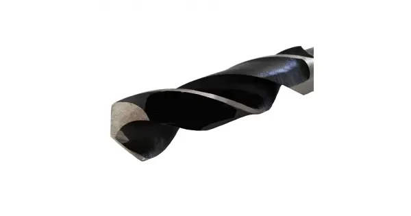 peddy-3000562