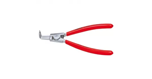 peddy-3010332