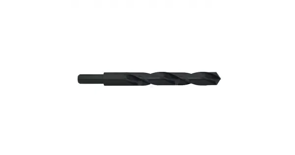 peddy-3015331