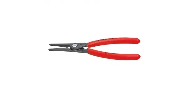 peddy-3035857