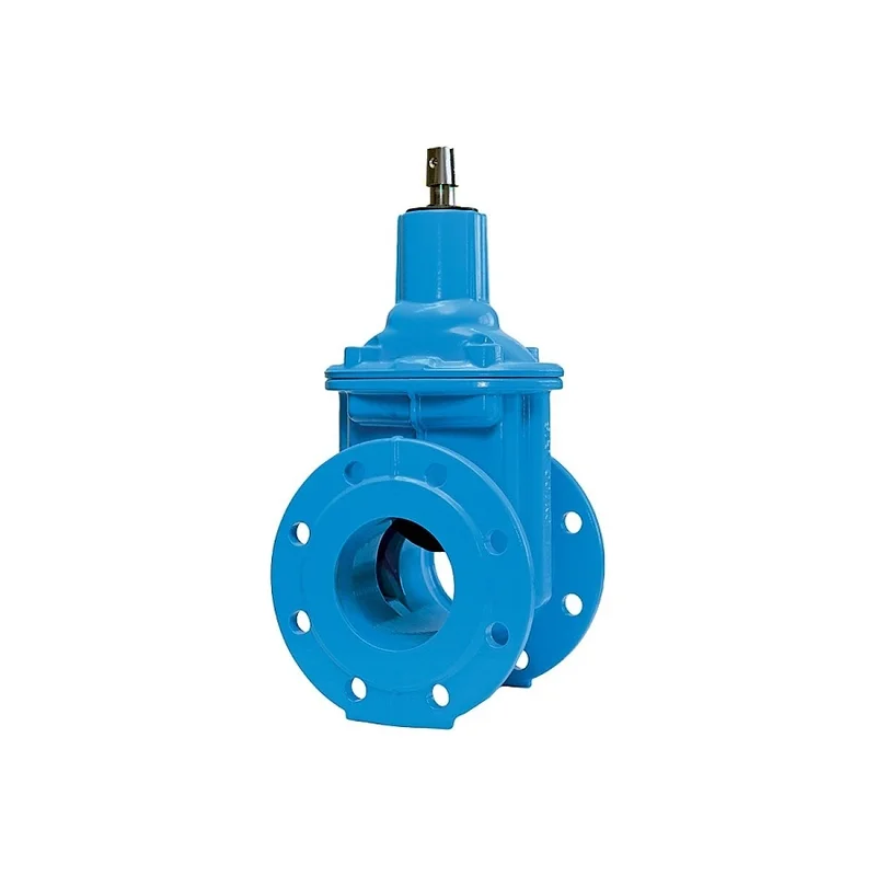 pkvplus-2829245