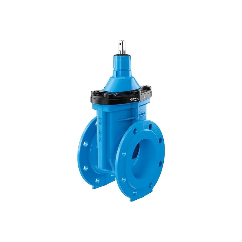 pkvplus-2829307